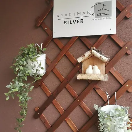 Apartman Silver